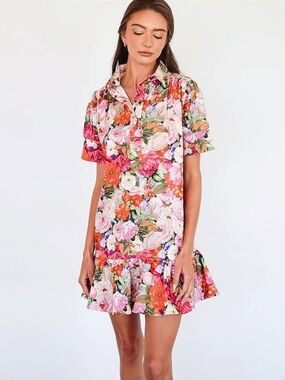 Never A Wallflower Pink Floral Mini Ruffle Shirt Dress Size M